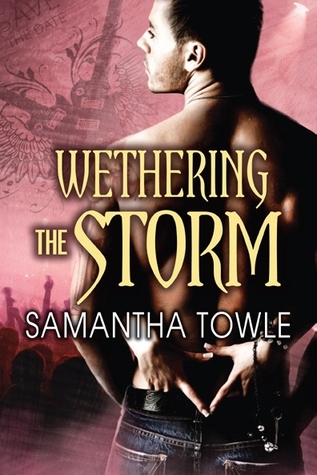 Wethering the Storm (The Storm, #2)