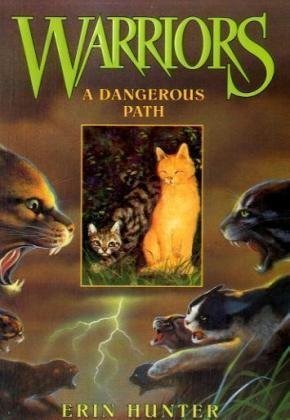 A Dangerous Path (Warriors, #5)