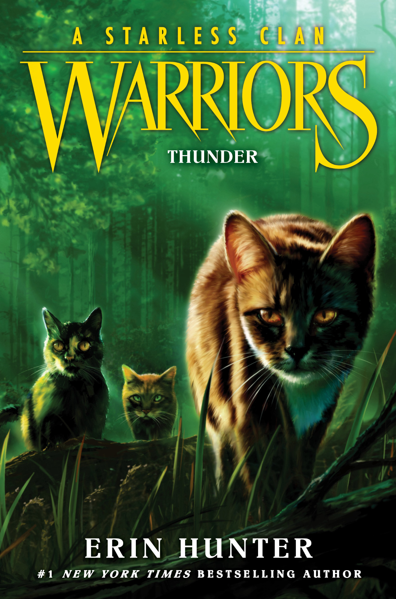 Thunder (Warriors: A Starless Clan, #4)