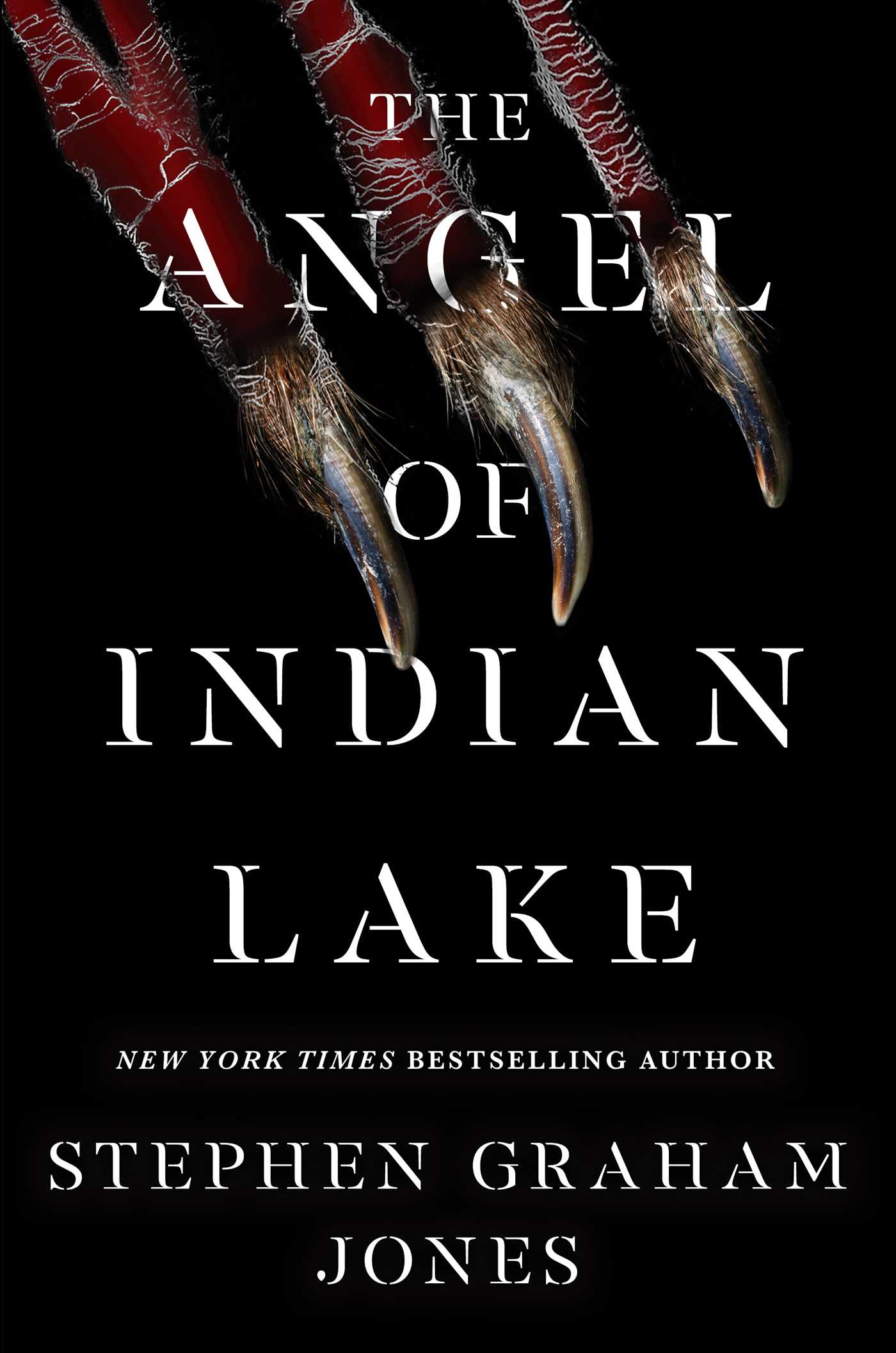 The Angel of Indian Lake (The Indian Lake Trilogy, #3)