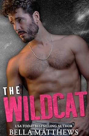 The Wildcat (Playing to Win, #2)